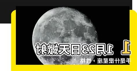 11 23天蠍射手